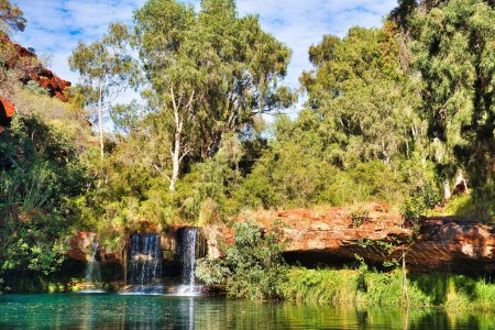Waterfall splashes into the Fern Pool, surrounded by lush vegetation, in Dales Gorge, Karijini National Park, Western Australia. 