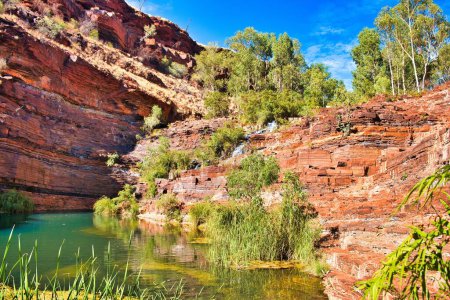 La piscine verte, flanquée de roches rouges riches en fer, au pied de la Fortescue tombe dans les gorges des Dales, parc national de Karijini, Australie occidentale. 