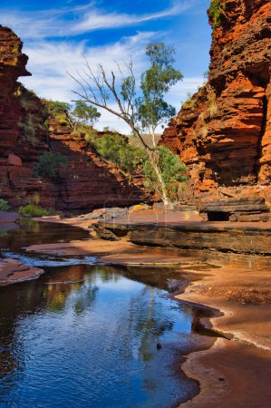 Corriente que fluye entre rocas rojas en el desfiladero de Kalamina, Parque Nacional Karijini, Australia Occidental