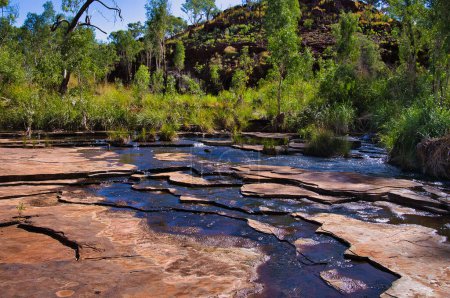 Ruisseau de montagne clair avec eau pétillante et végétation luxuriante dans la gorge de Kalamina, parc national de Karijini, une véritable oasis dans l'arrière-pays sec de l'Australie occidentale