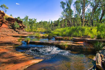 Rote Felsen, ein klarer Bach mit Wasserfall und üppige grüne Vegetation in der Kalamina-Schlucht, Karijini-Nationalpark, eine Oase im trockenen Outback Westaustraliens