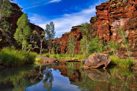 Rote Felsen und grüne Bäume spiegeln sich im klaren Wasser eines Pools in der Kalamina-Schlucht, Karijini-Nationalpark, Westaustralien