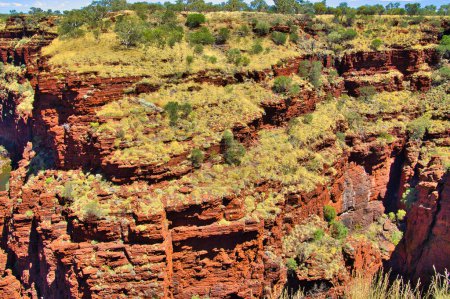 Vue sur les gorges profondes et étroites de Weano, taillées dans des roches baguées rouges riches en fer, parc national Karijini, Pilbara, Australie occidentale