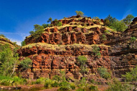 Magnífica formación de piedra de hierro con bandas de color marrón rojizo, que parece un castillo prehistórico, en el desfiladero de Dales, Parque Nacional Karijini, Cordillera Hamersley, Australia Occidental