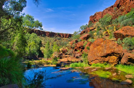 Paysage avec des rochers rouges, des eaux bleues profondes et des arbres verts dans les spectaculaires gorges des Dales, parc national de Karijini, Australie occidentale. 
