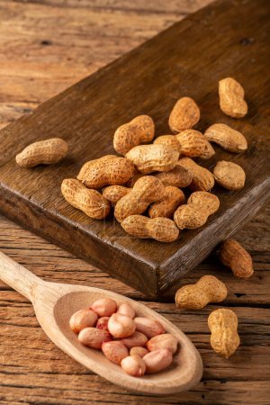 Photo for Dry peanut on the wooden background. - Royalty Free Image