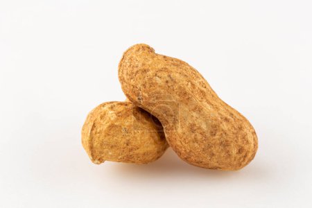 Dry peanut on the white background.