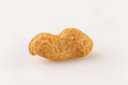 Photo for Dry peanut on the white background. - Royalty Free Image