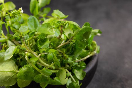 Green watercress in bowl on the table.