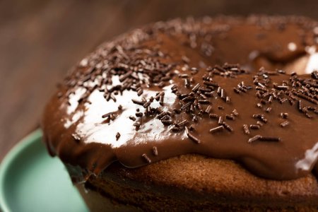 Photo for Homemade chocolate cake with chocolate sauce topping. - Royalty Free Image