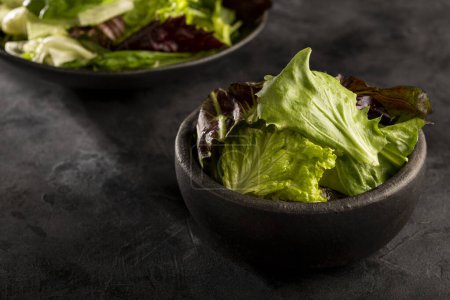 Photo for Lettuce salad mix in bowl. - Royalty Free Image