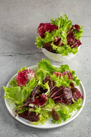Téléchargez les photos : Mélange de salade fraîche et saine. Salade de feuilles. - en image libre de droit
