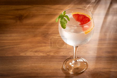 Photo for Gin Tonic garnished with grapefruit and mint. - Royalty Free Image