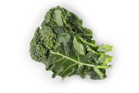 Photo for Broccoli isolated on white background. - Royalty Free Image