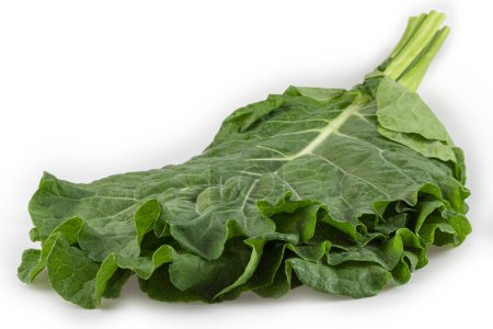 Cabbage isolated on white background. Kale.