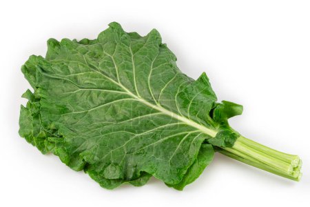 Cabbage isolated on white background. Kale.