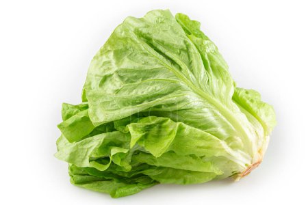 Photo for Plain lettuce isolated on white background. - Royalty Free Image