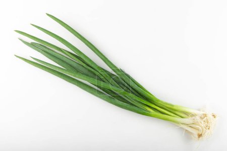 Photo for Chives isolated on white background. - Royalty Free Image