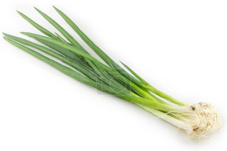 Photo for Chives isolated on white background. - Royalty Free Image