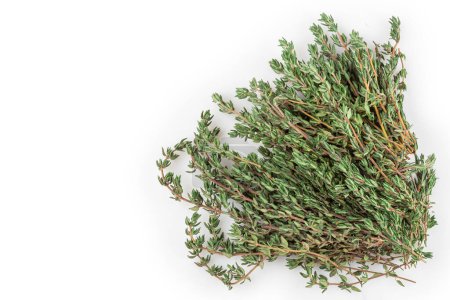 Photo for Thyme isolated on white background. - Royalty Free Image