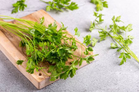 Photo for Fresh italian parsley on the table. Green parsley. - Royalty Free Image