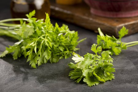 Photo for Fresh italian parsley on the table. Green parsley. - Royalty Free Image