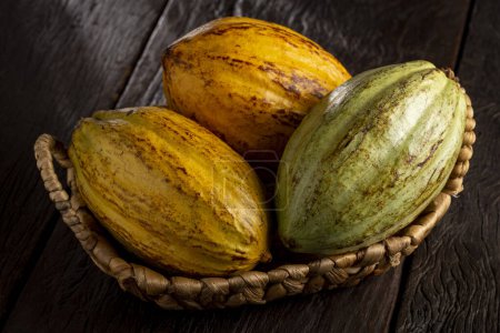 Téléchargez les photos : Fruits de cacao mûrs sur la table. - en image libre de droit