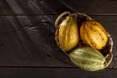 Téléchargez les photos : Fruits de cacao mûrs sur la table. - en image libre de droit