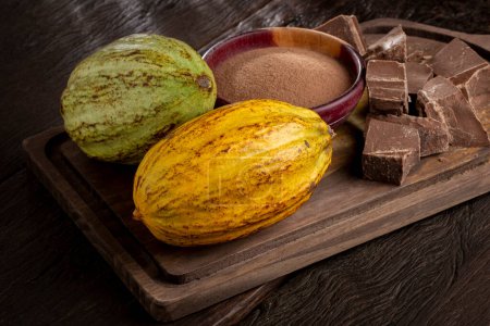 Foto de Cacao con trozos de chocolate y polvo de chocolate sobre la mesa. - Imagen libre de derechos