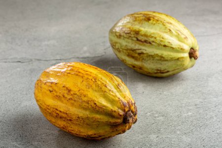 Ripe cocoa fruit on the table.