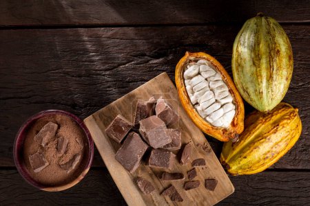 Téléchargez les photos : Cacao avec morceaux de chocolat et poudre de chocolat sur la table. - en image libre de droit