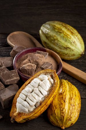 Foto de Cacao con trozos de chocolate y polvo de chocolate sobre la mesa. - Imagen libre de derechos