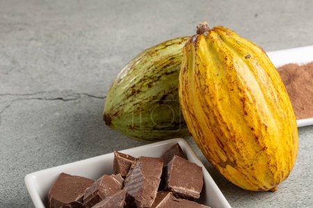 Téléchargez les photos : Cacao avec morceaux de chocolat et poudre de chocolat sur la table. - en image libre de droit