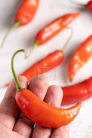 Téléchargez les photos : Poivrons rouges connus au Brésil sous le nom Pepper girl finger (dedo de moa) - en image libre de droit