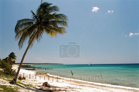 Photo for Beautiful view of the seashore - Royalty Free Image