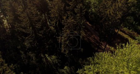 Photo for Flying over Magical Forest in the mountains. Beautiful view of nature. Traveling background. - Royalty Free Image