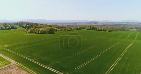 Téléchargez les photos : Vue aérienne du champ agricole, Champs agricoles d'en haut. - en image libre de droit