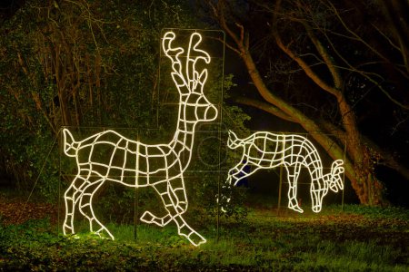 Foto de Animales forma luces de Navidad jardín de decoración al aire libre para el evento de Navidad - Imagen libre de derechos