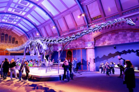 Foto de Londres, Inglaterra - diciembre de 2022: Esqueleto de dinosaurio prehistórico en el Museo de Historia Natural de Londres. Dippy en el Museo de Historia Natural - Imagen libre de derechos
