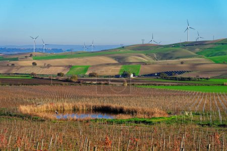 Foto de Turbina eólica de energía alternativa en un hermoso paisaje verde - Imagen libre de derechos