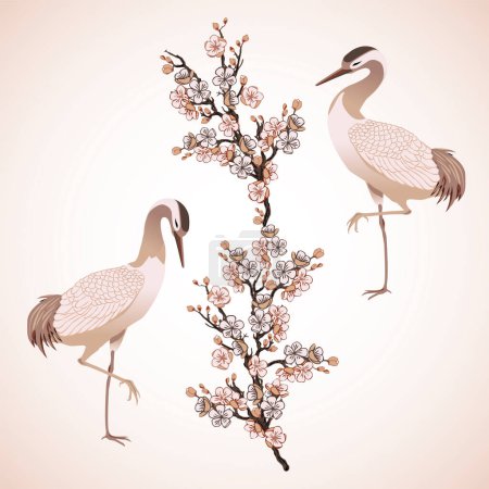 Téléchargez les photos : Deux hérons oiseaux et illustration vectorielle cerise japonaise, - en image libre de droit