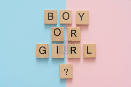 Photo for Gender reveal party concept - where parents and frGender reveal party concept - where parents and friends find out the sex of the babyiends find out the sex of the baby. High quality photo - Royalty Free Image