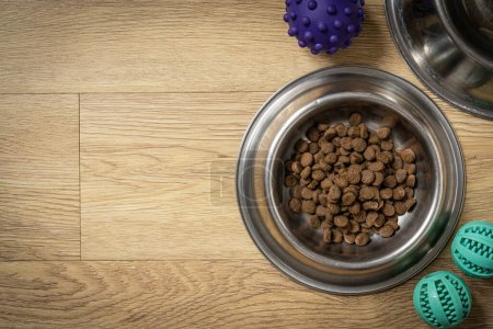 Pet food concept - dry pet food on bowl on wood background, top view