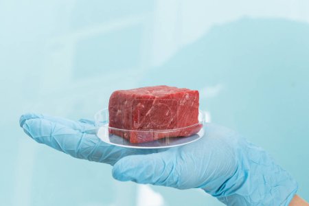 Foto de Concepto de carne cultivada en laboratorio - carne en placa petri, mano en guante azul, fondo azul - Imagen libre de derechos