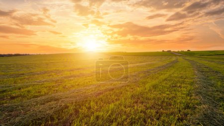 Téléchargez les photos : Coucher de soleil sur des terres cultivées à la campagne lors d'une soirée d'été avec fond de ciel bkue. Paysage
. - en image libre de droit