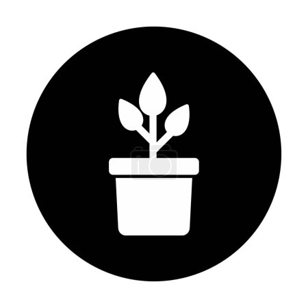 Ilustración de Planta en maceta icono vector ilustración - Imagen libre de derechos
