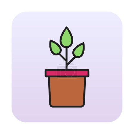Illustration for Plant in pot icon vector illustration - Royalty Free Image