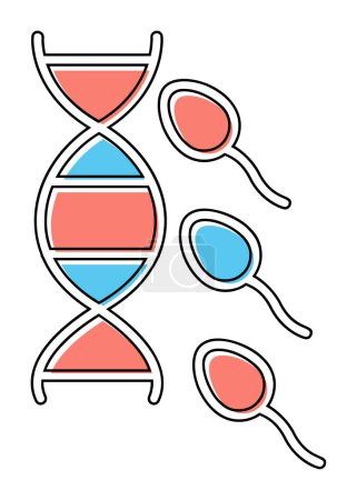 Illustration for Vector outline illustration of reproductive system - Royalty Free Image