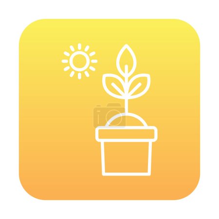 Illustration for The Sun and plant in pot icon. vector illustration. Photosynthesis symbol - Royalty Free Image