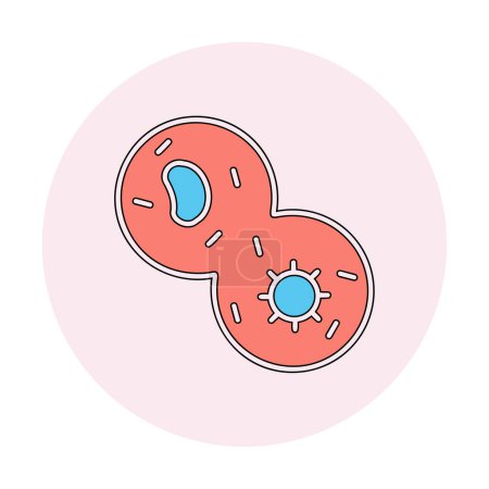 Illustration for Mitosis web icon, vector illustration - Royalty Free Image